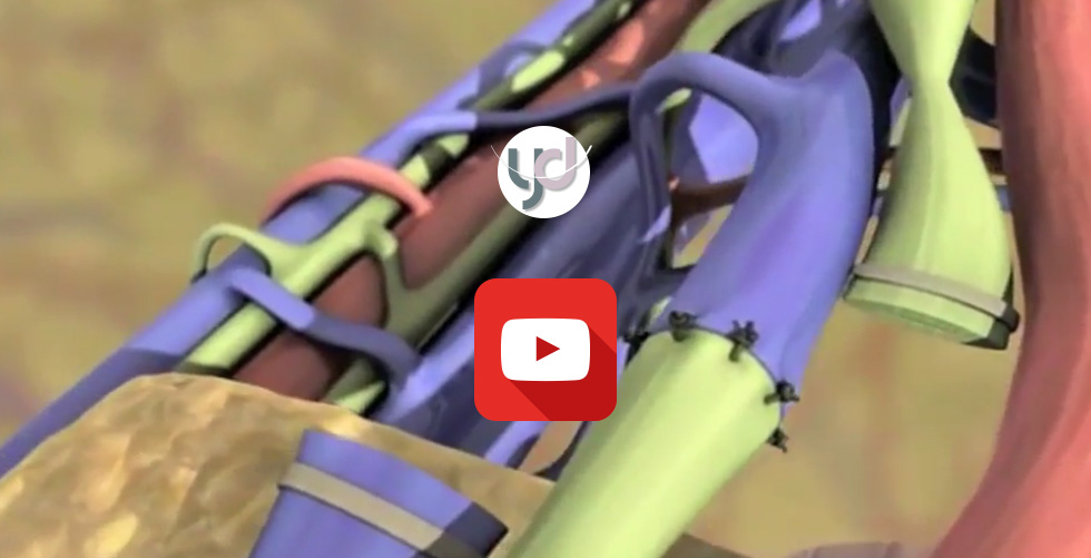 lenfodem-animasyon-videosu.jpg